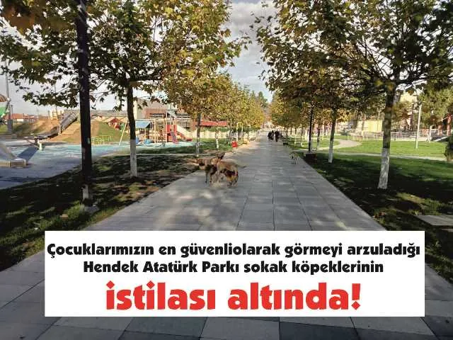 CUMHURBAŞKANI  ERDOĞAN: “SOKAK KÖPEKLERİNİN YERİ BARINAKLARDIR”