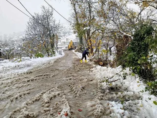 YAPRAKLAR DÖKÜLMEDEN YAĞAN KAR AĞAÇLARI YIKTI