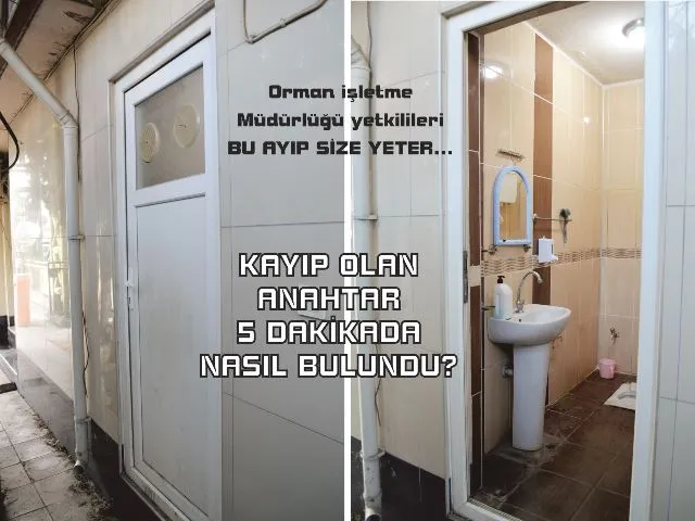 HENDEK ORMAN İŞLETME MÜDÜRLÜĞÜ BU AYIP SİZE YETER