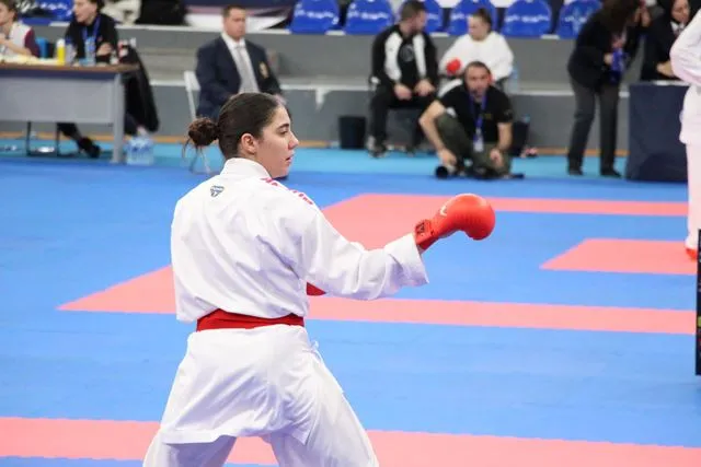 HENDEK KARATE EKİBİ AVUSTURYA FETHİNDE