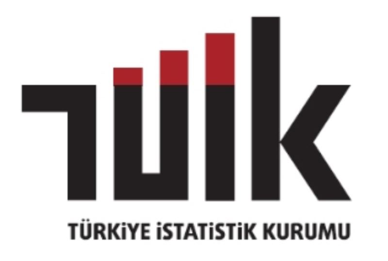 Taşıt-kilometre İstatistikleri, 2021
